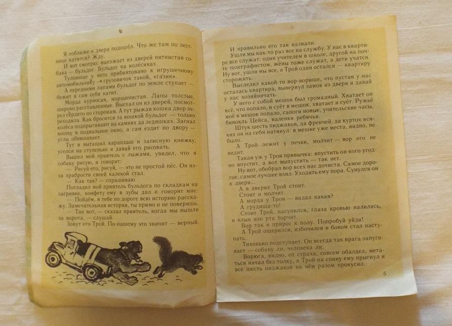 Верный вопрос книга. Евгений Чарушин верный Трой. Чарушин книга верный Трой. Рассказ Чарушина верный Трой. Верный Трой иллюстрации.