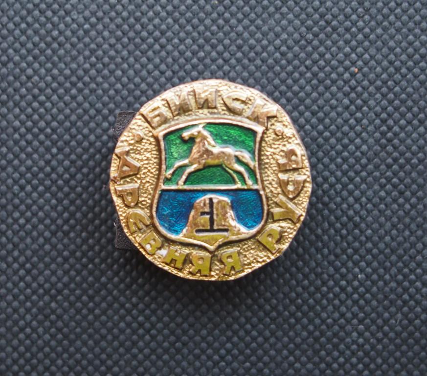 Значок. город Бийск. Древняя Русь. #847.