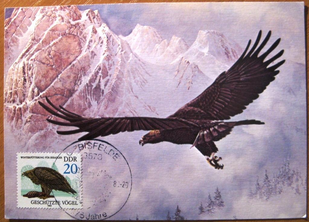 К05.163 КМ КАРТМАКСИМУМ ОРЁЛ