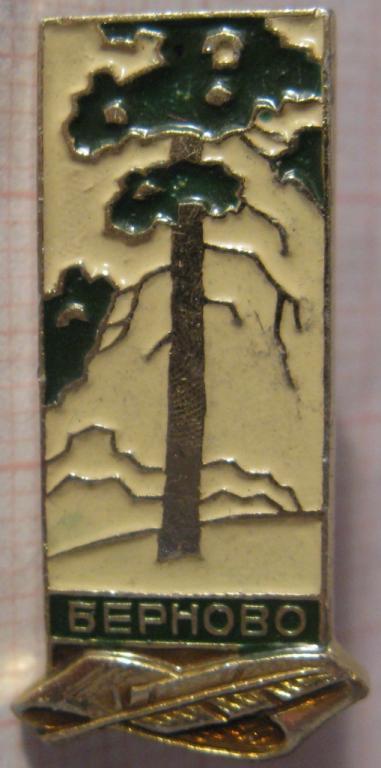 12.017 ПУШКИНСКИЕ МЕСТА, БЕРНОВО, ПУШКИН