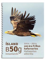 Марка. Исландия. Орлан-белохвост. The white-tailed eagle. 2014