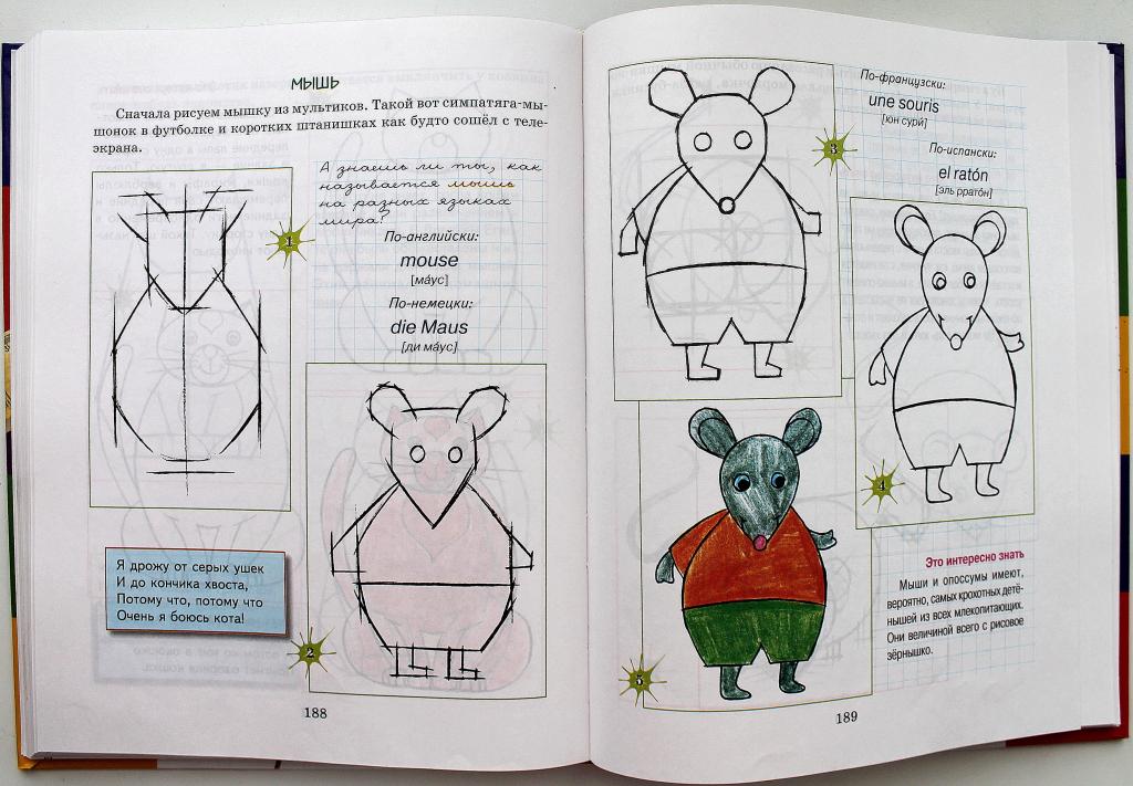 Учимся рисовать книжка