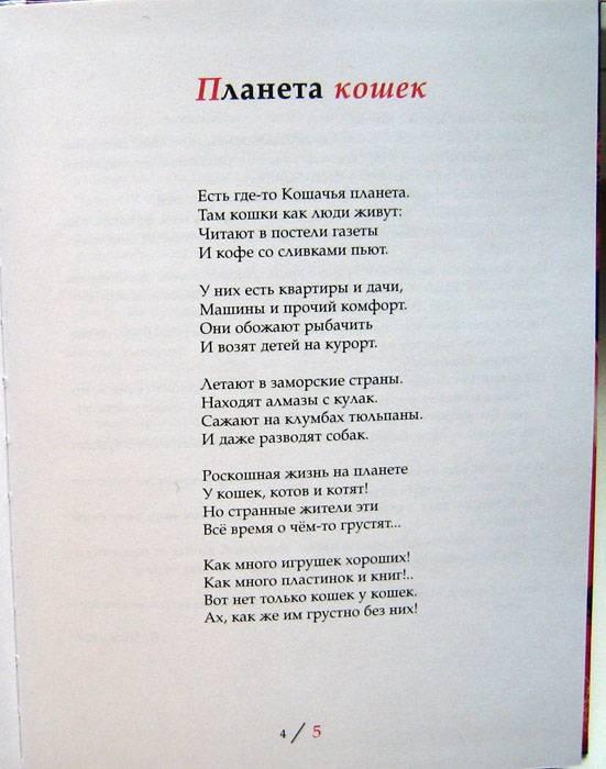Текст песни кошка