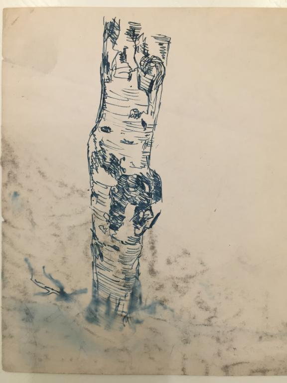 Бантиков А.С. (1914-2001) Ствол березы