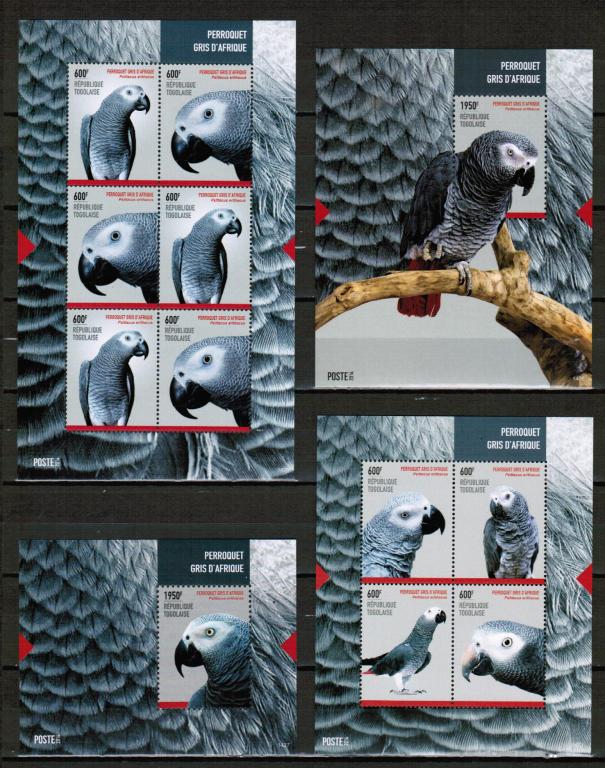 Того 2014 Попугаи Жако Птицы 2м/л+2бл**
