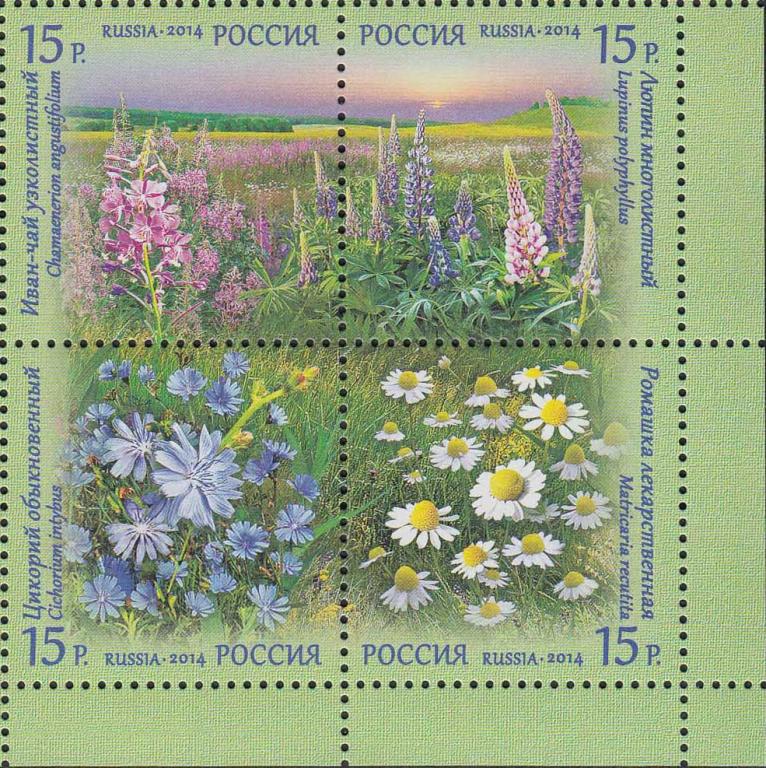 Россия 2014 1810-13 Флора цветы поле **