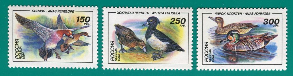 1994 170-172 Утки **