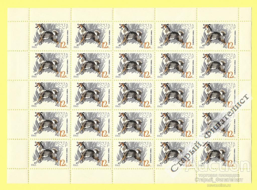 СССР 1965 № 3170** "Собаки. Сибирская лайка". Лист марок 5х5.