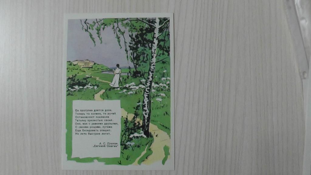 открытка Скородумова  "Ее прогулки длятся доле..."1958г