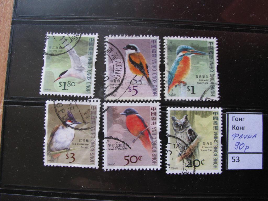 Гонг Конг птицы