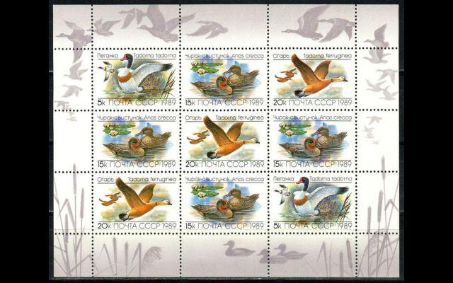 СССР 1989 Сл 6084-86 Утки MNH 050/047