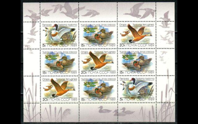СССР 1989 Сл 6084-86 Утки MNH 050/045