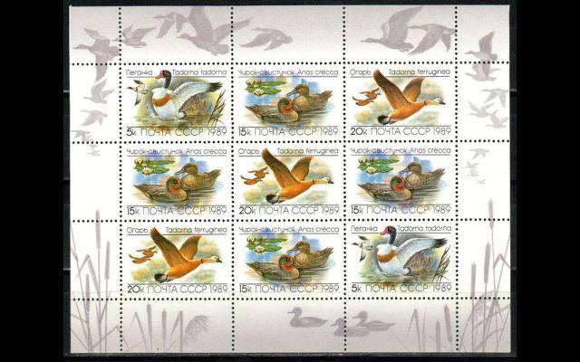 СССР 1989 Сл 6084-86 Утки MNH 050/044