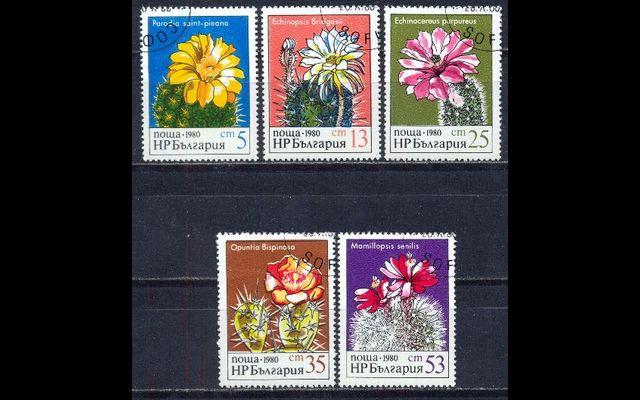 Болгария 1980 Mi 2946-50 Кактусы CTO 042/085
