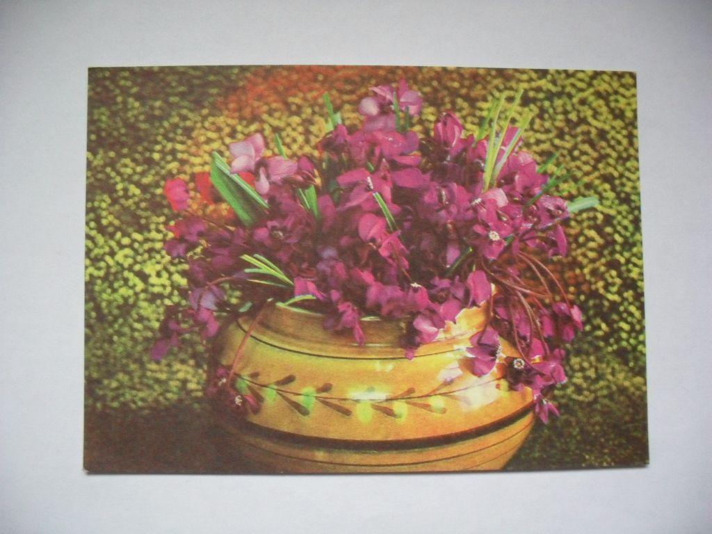 Открытка с цветами, фото Г. Костенко, 1975г. 