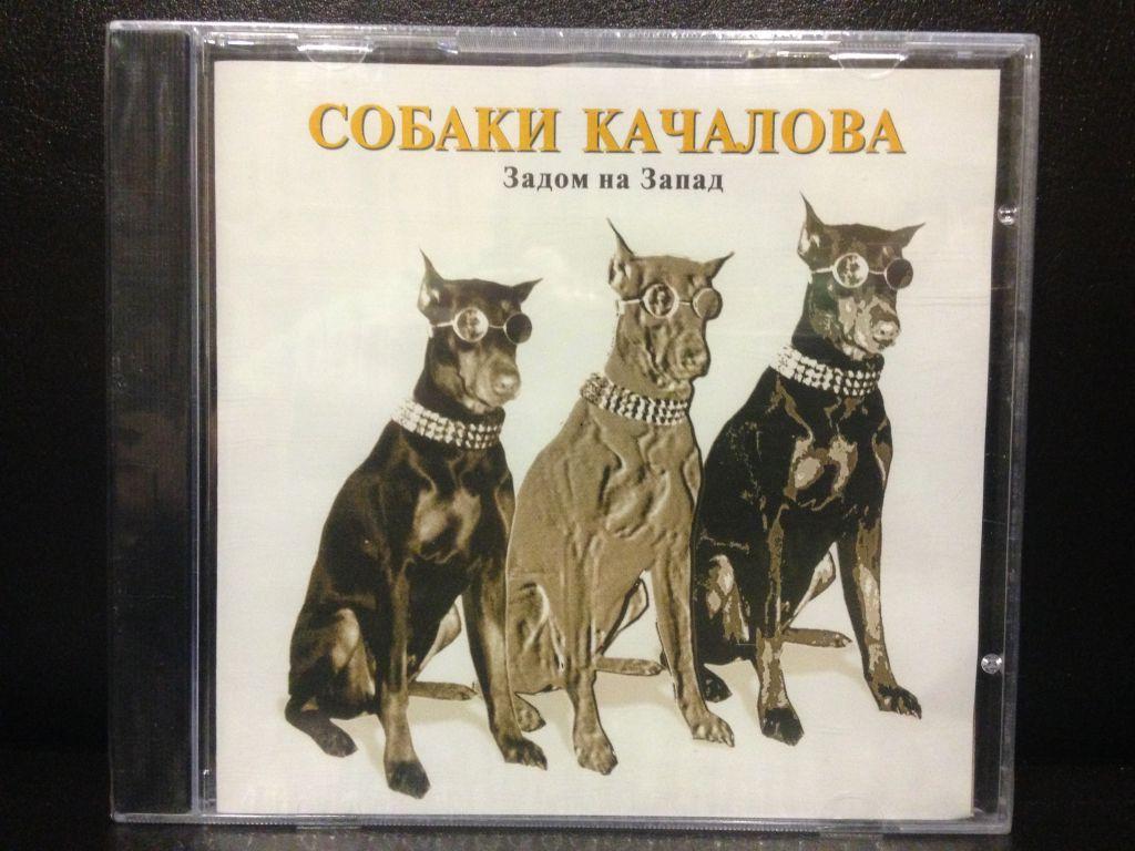 Собака качалова фото