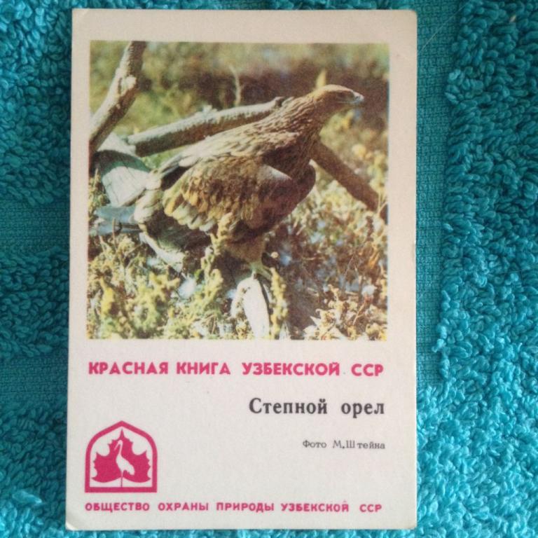 Красная книга узбекистана презентация