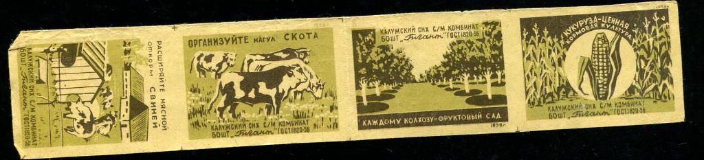 Лист 4 шт Гигант 1958 колхоз скот кукуруза 