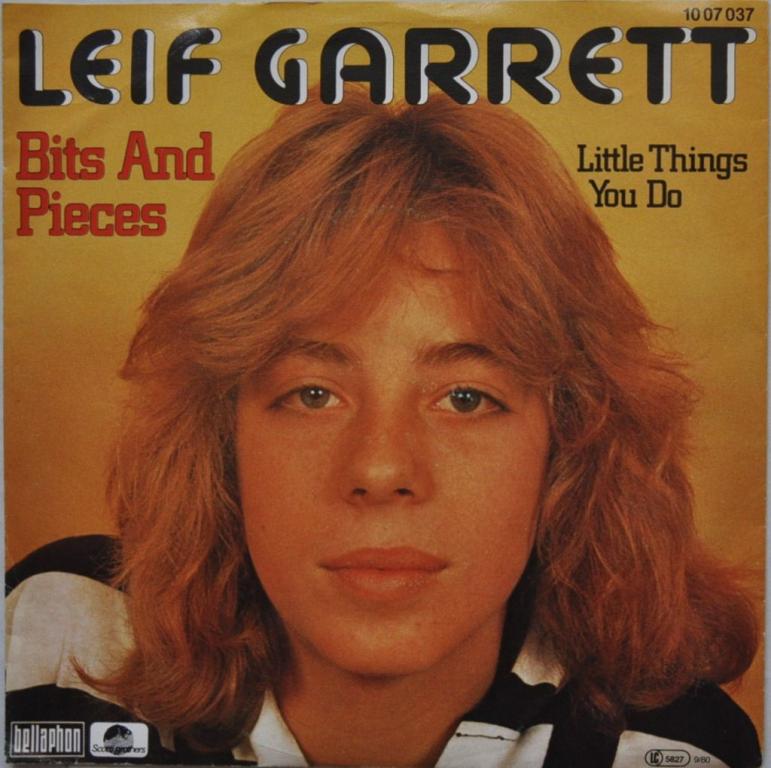 leif garrett net worth 2025 - Ilustrasi 3