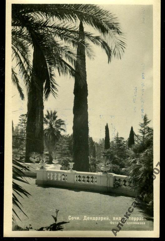 64 Сочи Дендрарий Вид с террасы 