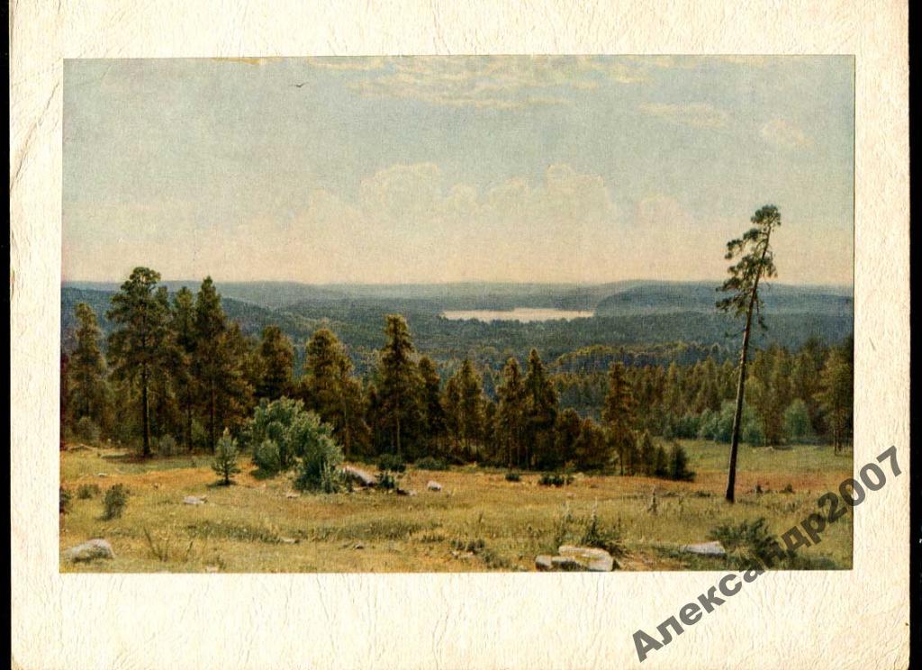 И Шишкин Лесные дали 29 на 22 5 