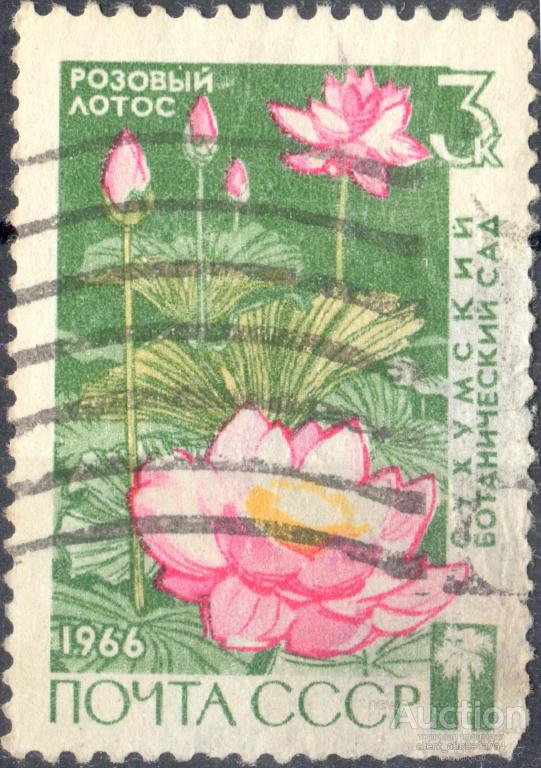 СССР 1966 3375 гаш розовый лотос