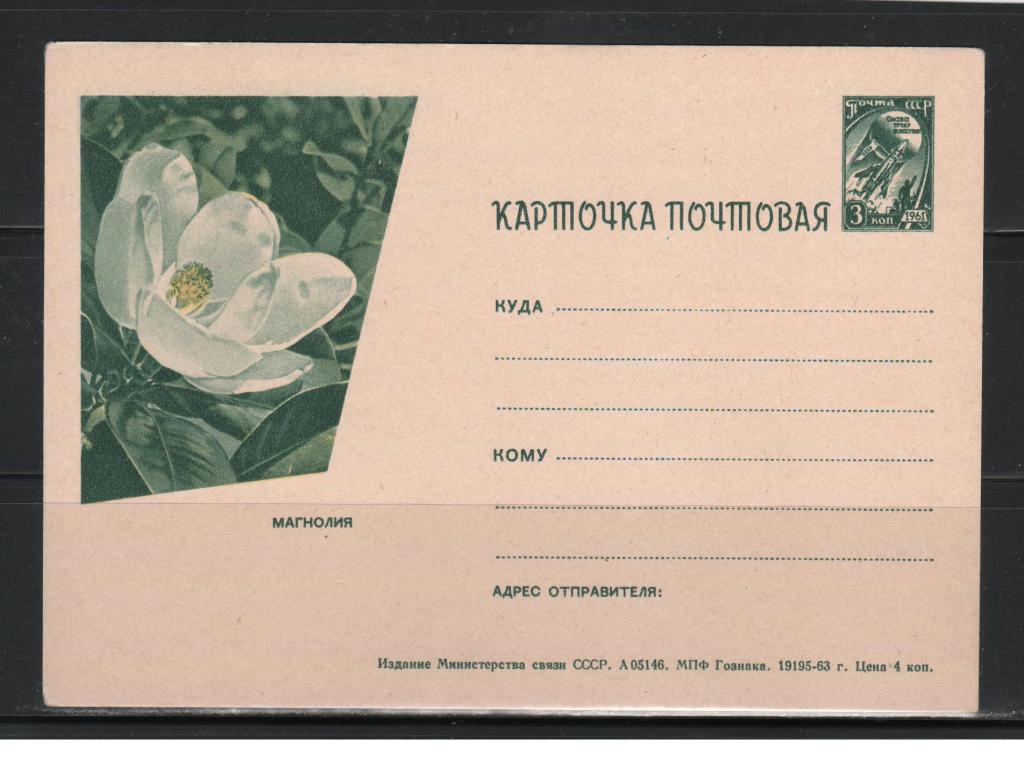 1963. СССР. Иллюстрированная почтовая карточка "Магнолия", чистая