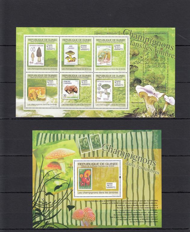 GUINEE ГВИНЕЯ  Флора  Грибы  Лист+Блок   2009   Сост**