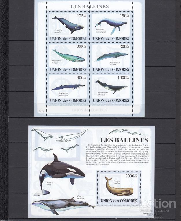 COMORES  КОМОРЫ    Фауна  Киты  Лист + Блок 2009  Сост**
