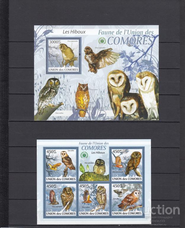 COMORES  КОМОРЫ  Фауна Птицы Совы   Лист + Блок 2009  Сост**
