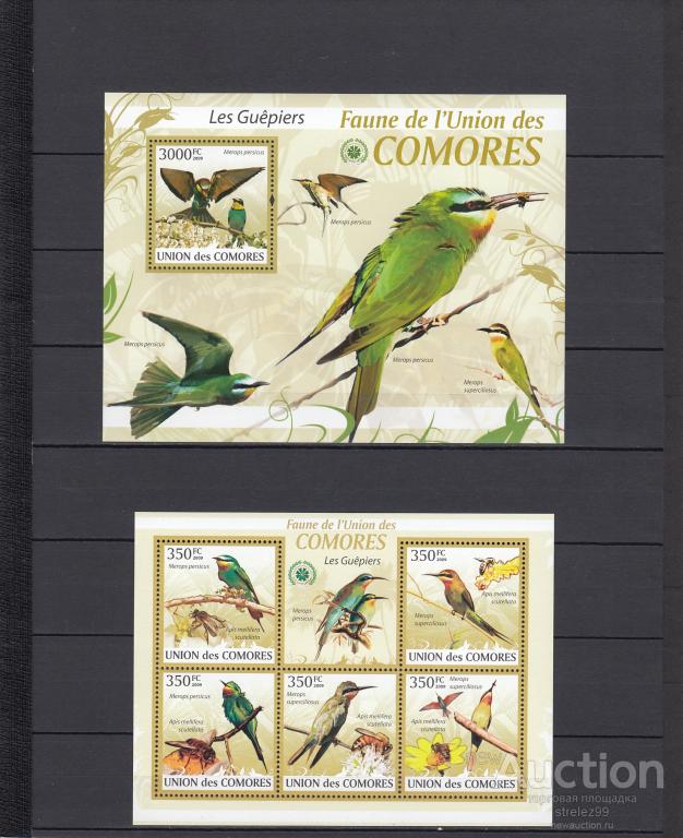 COMORES  КОМОРЫ  Фауна Птицы   Лист + Блок 2009  Сост**