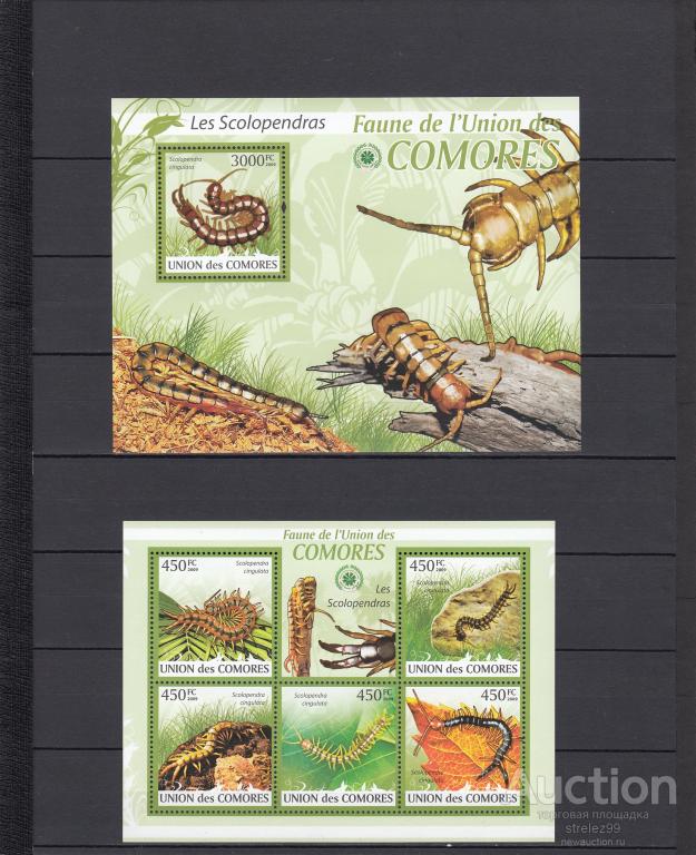 COMORES  КОМОРЫ  Насекомые  Гусеницы Лист + Блок 2009  Сост**