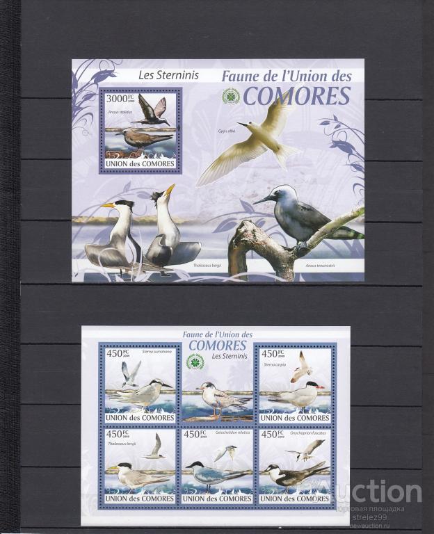 COMORES  КОМОРЫ  Фауна Птицы  Чайки Лист + Блок 2009  Сост**