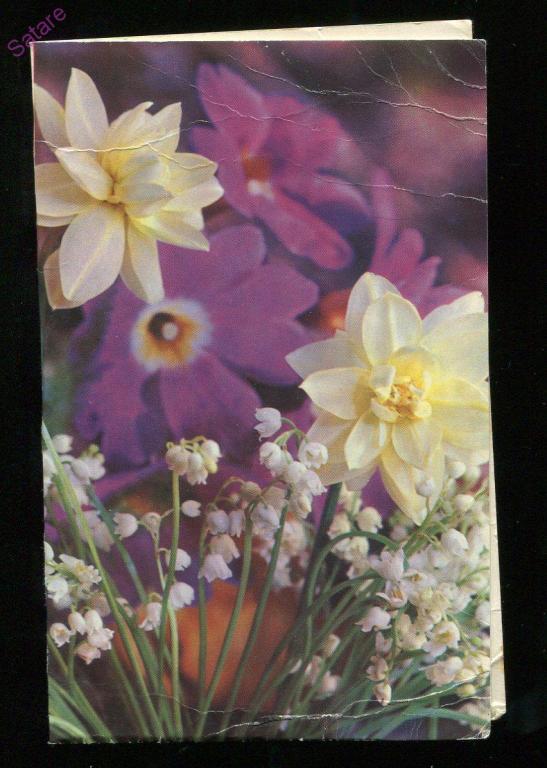 С праздником 8 Марта - Костенко Г / 1971 год (159-А)