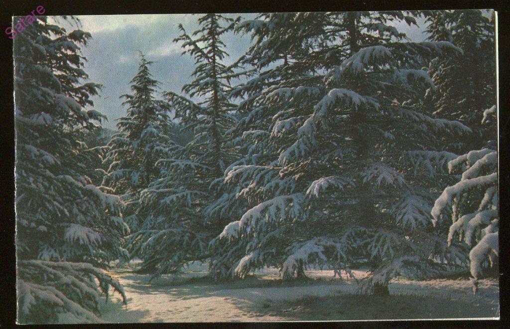 Наилучшие пожелания в новом году - Гридин Н / 1973 год (159)