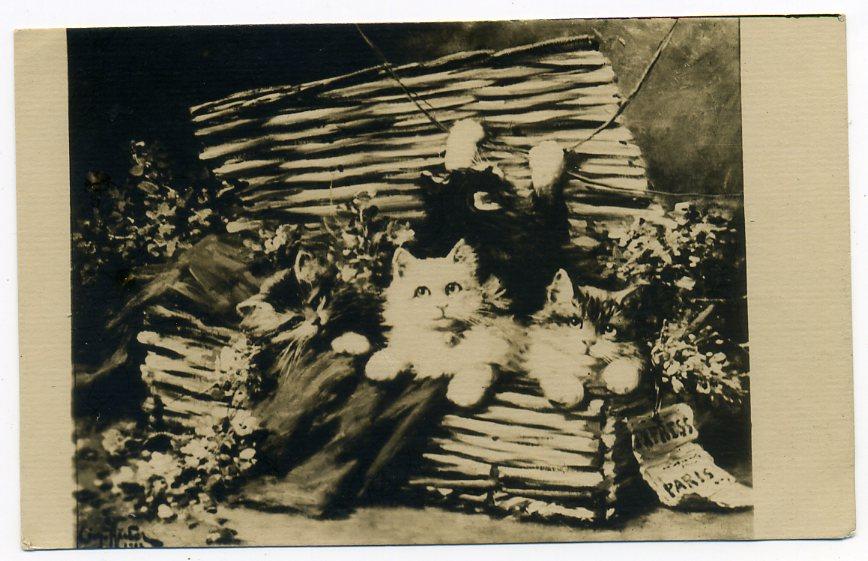 Кошки котята КТО ВЫШЕ? изд Ленозет Ленгорлит Ленинград