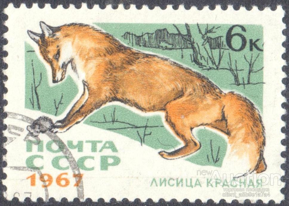 СССР 1967 3536 гаш Красная лиса