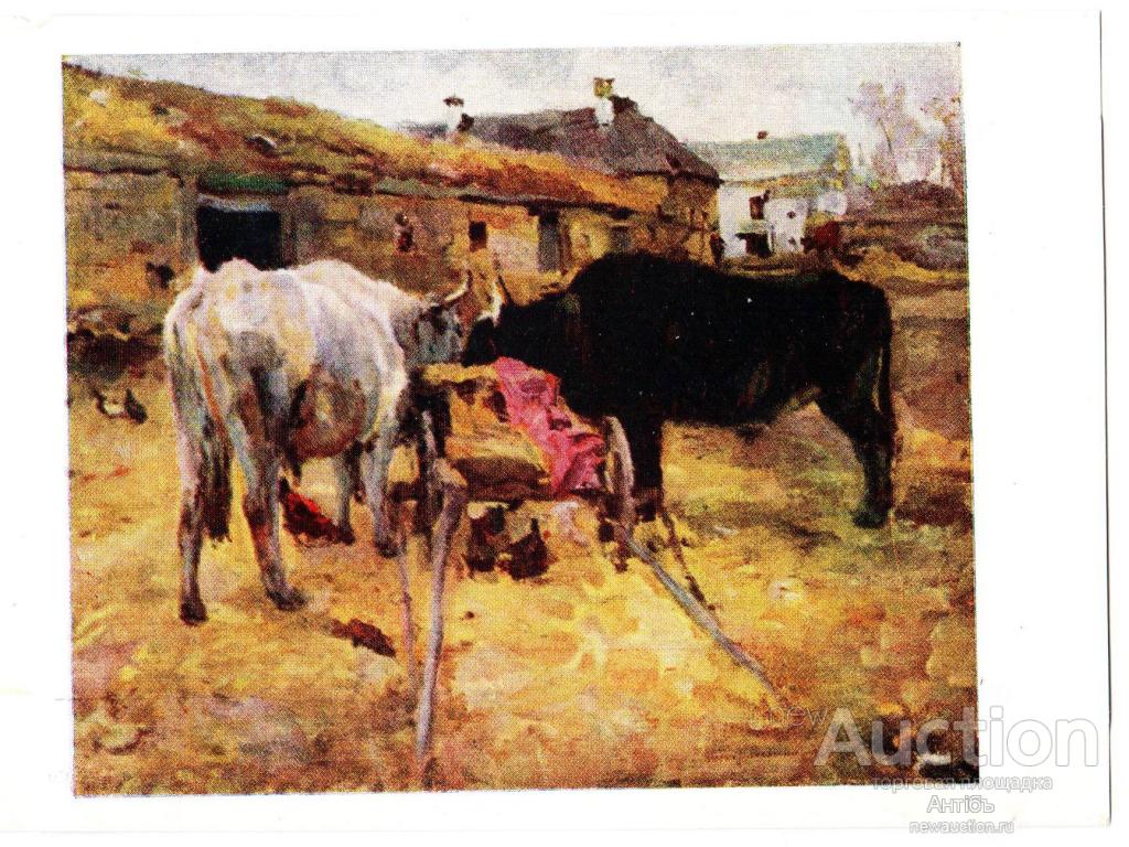 Живопись. Картина. Открытка. Серов. Волы. 1955 год. (Альбом №1)