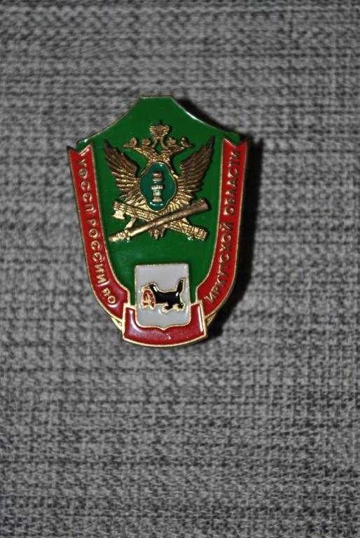 УПРАВЛЕНИЕ ФЕДЕРАЛЬНОЙ СЛУЖБЫ СУДЕБНЫХ ПРИСТАВОВ ПО ИРКУТСКОЙ ОБЛ