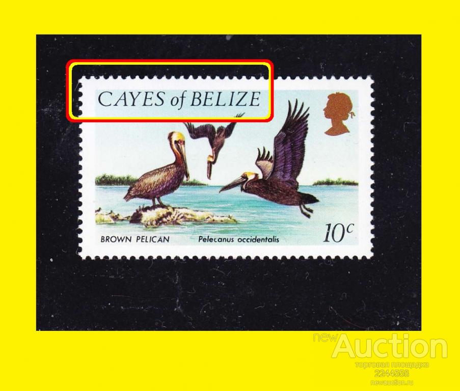 локал САYES of BELIZE 1984 10с**-I