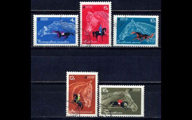 СССР 1968 Сл 3598-02 Коневодство и спорт CTO 054/510