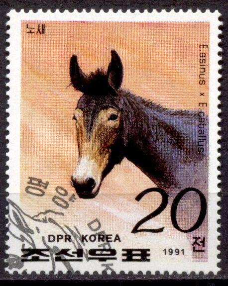 Фауна Лошади Корея 1991 1мар гаш.