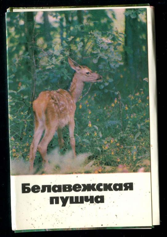 1 неполн комплект Беларусь Беловежская пуща животные 15 из 16 откр 1981