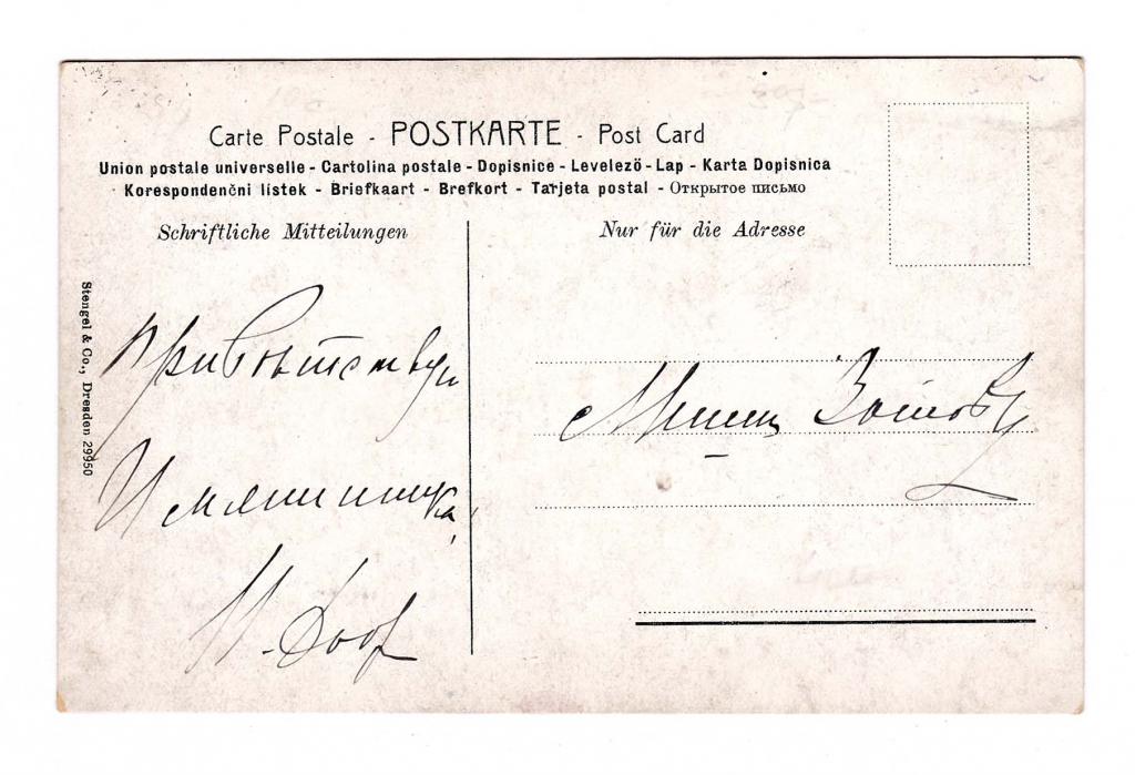 Санкт петербург подпись. Питер с подписью. Санкт петербург подпись. Питер надпись. Подписать открытку из петербурга.