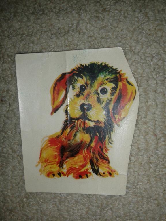 Картинка плёнка 1980-е переводилка DDR (наклейка, сводилка)