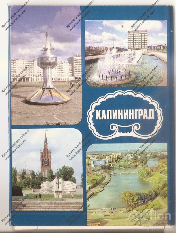 Доставка открыток калининград, прикольные гриффина