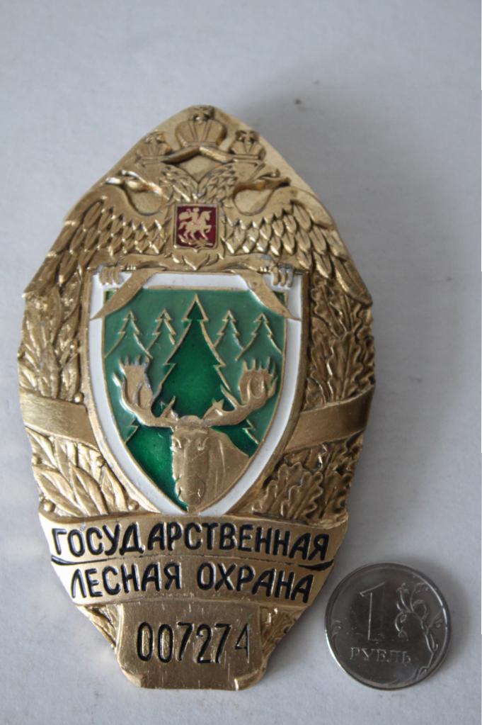 Шеврон лесника. Шевроны нашивки государственная лесная охрана. Государственная лесная охрана значок. Шеврон лесная охрана. Лесная охрана.