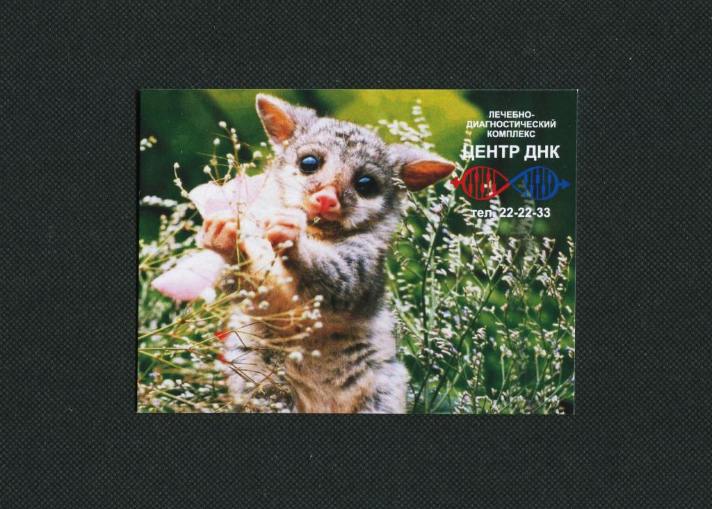 Центр ДНК. 2016 год. г Курган. Карманный календарь. #2018.