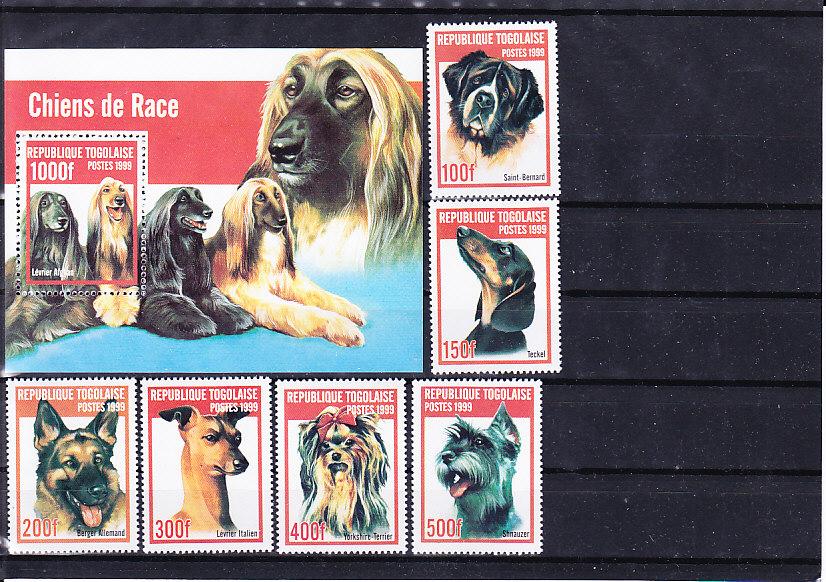 Того,1999,Ми-2823-8+бл.439**Фауна:собаки
