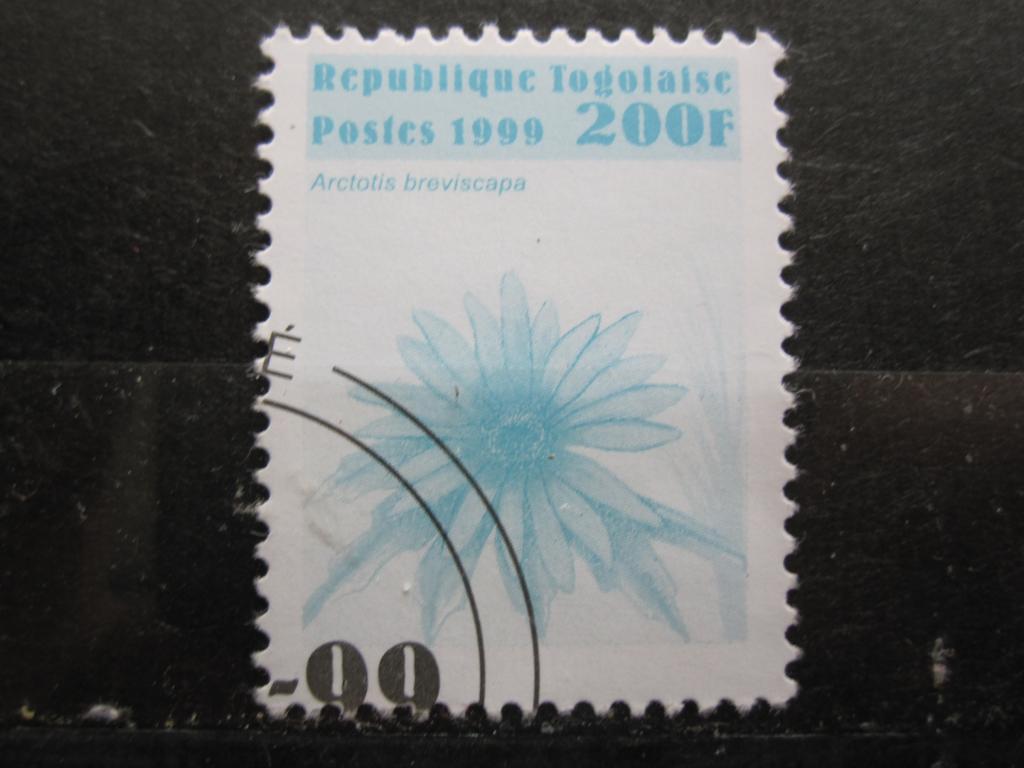 Того серия "Цветы", Арктотис короткостебельный